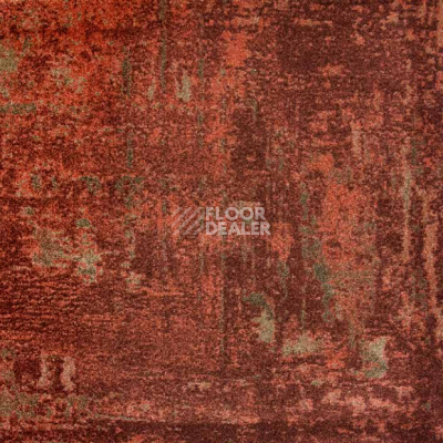 Ковролин Big Carus Golden Gate gg 002 27477 фото 1 | FLOORDEALER